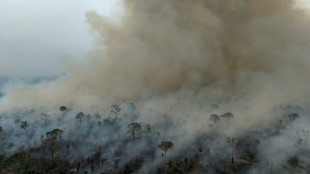 Fires in Brazil's Amazon dropped to historic low in 2025