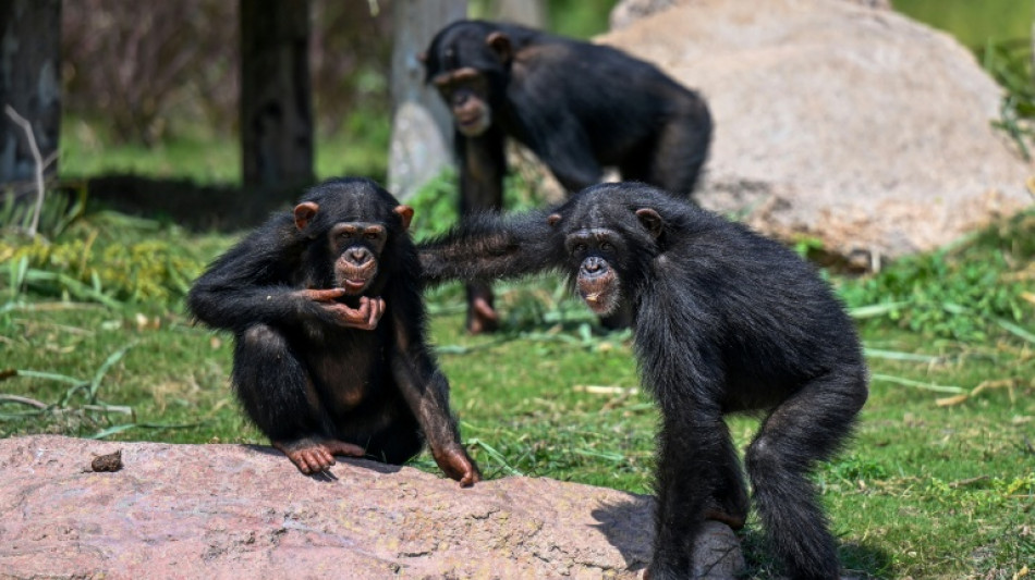  India's animal megacentre vows reset after criticism 
