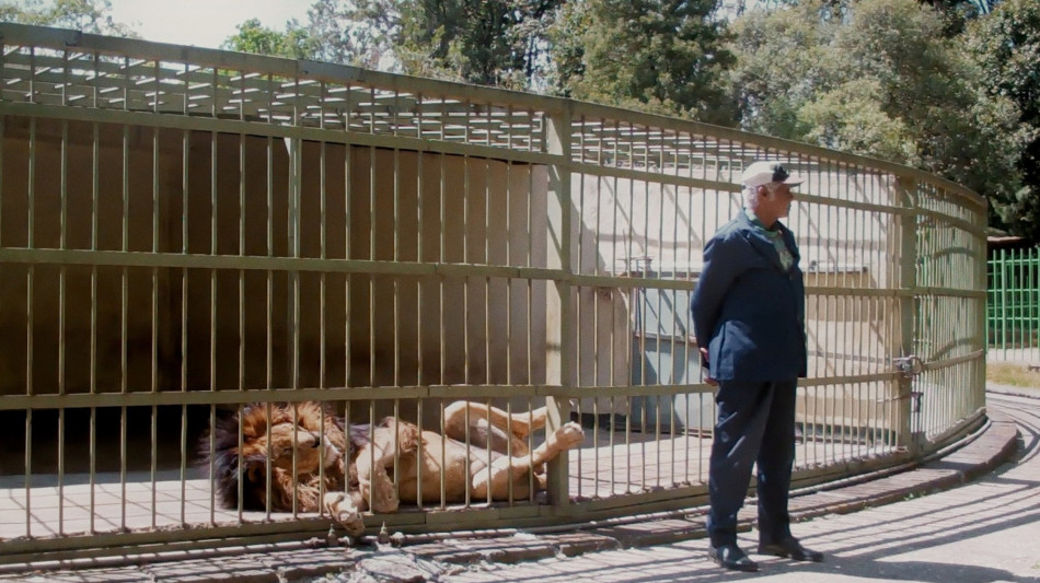  'Wax Gold', un hotel e le tante facce di Hail&eacute; Selassi&eacute; 