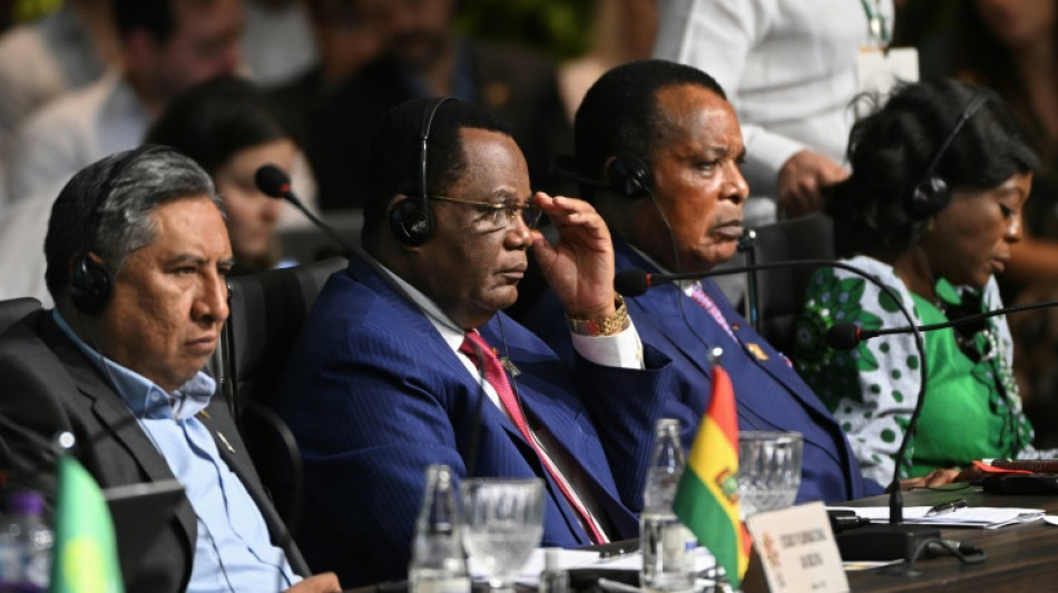 Le sommet sur l'Amazonie se penche sur le destin de toutes les for&ecirc;ts tropicales