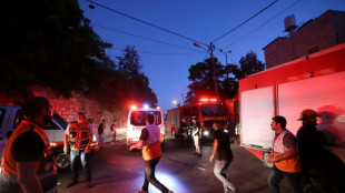 Dos palestinos muertos en Cisjordania durante nuevo operativo israel&iacute;