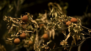 China vivi&oacute; su mes de agosto m&aacute;s caliente desde que existen registros