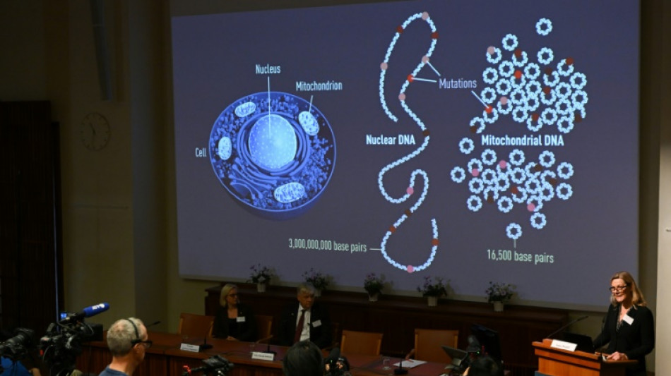 Nobel de Medicina: los galardonados en los diez &uacute;ltimos a&ntilde;os