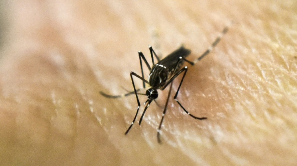 Why are some people mosquito magnets? Clues are emerging 