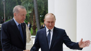 Erdogan confirma que Turqu&iacute;a pagar&aacute; el gas ruso en rublos