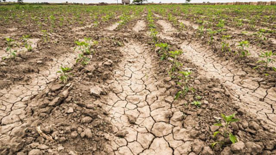  In Ue 156mila chilometri quadrati colpiti dalla siccit&agrave;, come 6 volte la Sicilia 