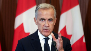 Carney betont enge Verbindung Kanadas zu den USA