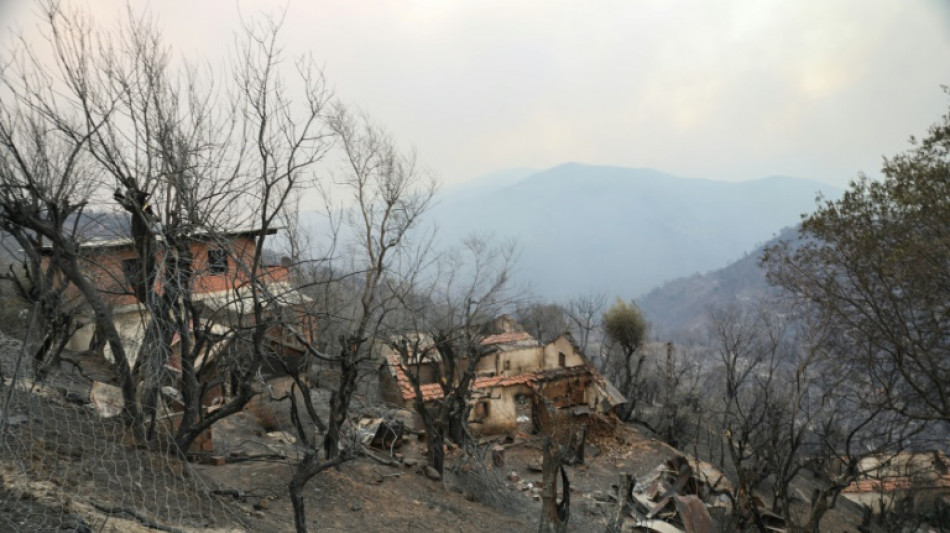  Algeria adopts law imposing death penalty on forest arsonists 