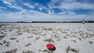 Europe swelters under record-breaking heatwave