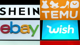 Après Shein, le gouvernement signale six nouvelles plateformes à la justice