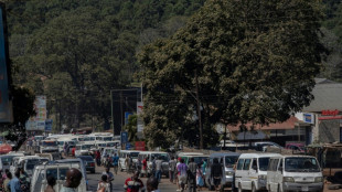 Malawi's fuel crisis hangs over upcoming elections 