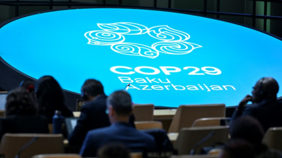 Climat: les pays pauvres s'estiment flou&eacute;s et protestent &agrave; Bakou