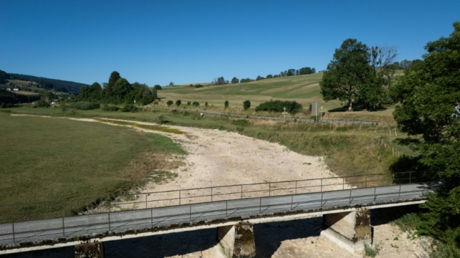  France in 'very worrying' drought: minister 