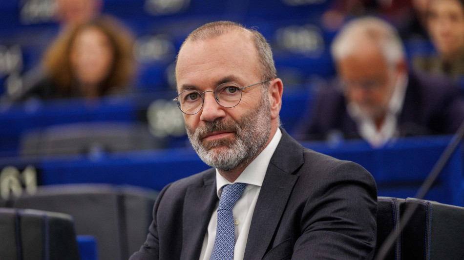  Weber (Ppe), 'alleanza con Vox? Se Feij&oacute;o avr&agrave; buon risultato, non servir&agrave;' 