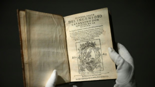 Dos ejemplares "&uacute;nicos" del Quijote, vendidos por 504.000&euro; en una subasta en Par&iacute;s