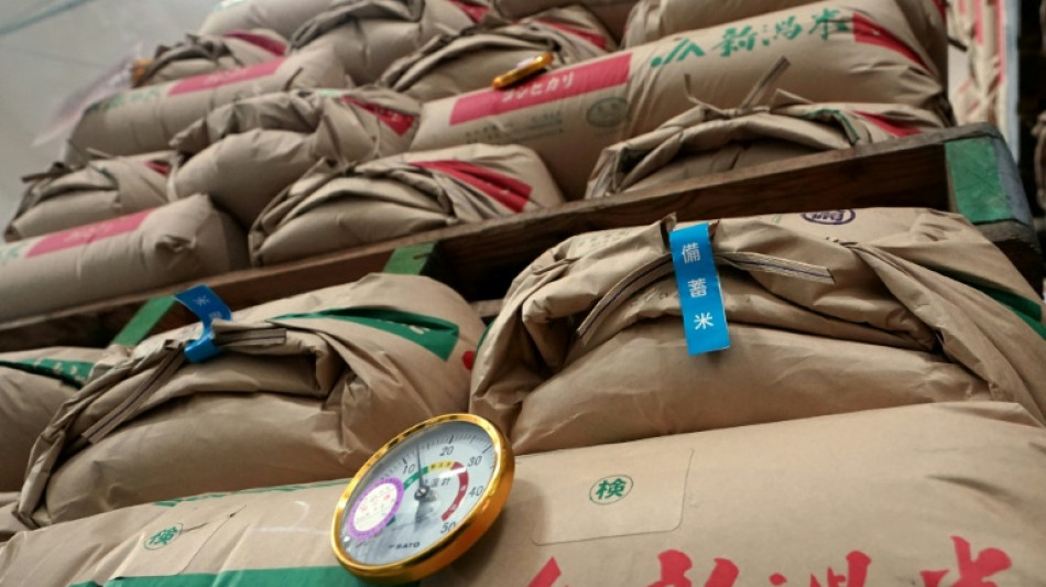 Jap&oacute;n subasta arroz de sus reservas de emergencia ante el aumento de precios