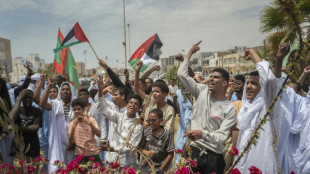 Mauritanie: gr&egrave;ve tr&egrave;s suivie et manifestation &agrave; Nouakchott contre "le g&eacute;nocide &agrave; Gaza"