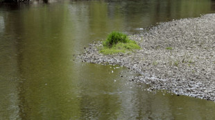 M&eacute;t&eacute;o-France table sur un printemps chaud et sec sur l'Hexagone