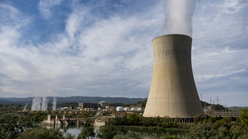 El fin de la energ&iacute;a nuclear en Espa&ntilde;a, previsto para 2035, genera resistencia