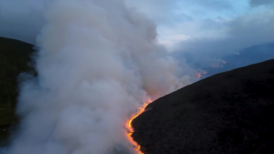 Scotland declares 'major' wildfire in Cairngorms national park 