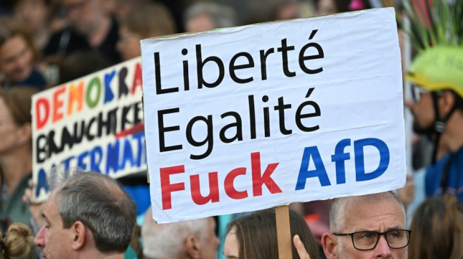  Allemagne: des dizaines de milliers de personnes manifestent contre l'extr&ecirc;me droite 