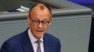Merz: Lindner h&auml;tte im Heizungsstreit Veto einlegen m&uuml;ssen