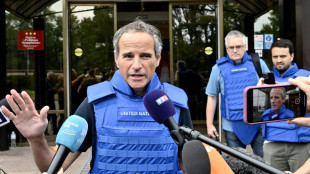 Ukraine: les experts de l'AIEA &agrave; pied d'oeuvre &agrave; la centrale de Zaporijjia