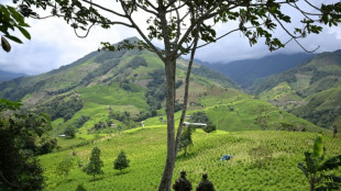 USA betrachten Kolumbien nicht mehr als Verb&uuml;ndeten im Anti-Drogen-Kampf