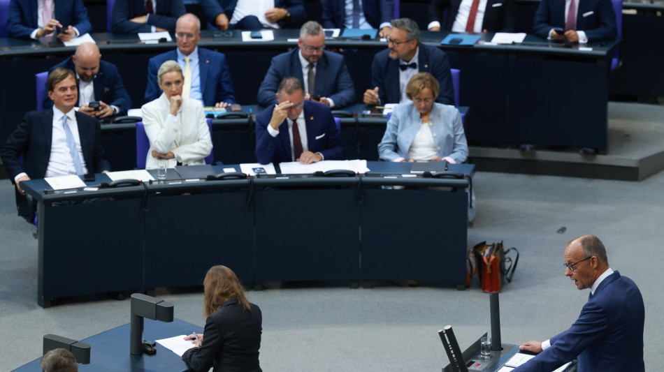  Merz attacca Afd, 'la vostra remigrazione &egrave; pulizia etnica' 