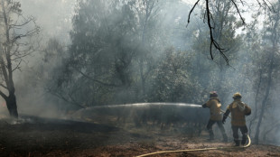 Un voraz incendio forestal consume 1.700 hect&aacute;reas en Francia
