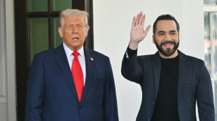 Trump "agradece" a Bukele, que est&aacute; "disposto a ajudar" os EUA com imigra&ccedil;&atilde;o