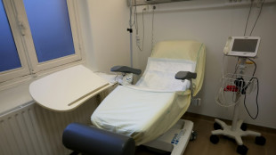 Freiheit zur Abtreibung kommt einer Aufnahme in Frankreichs Verfassung n&auml;her