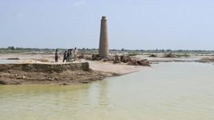 Pakistan's brick workers need kilns reignited after floods