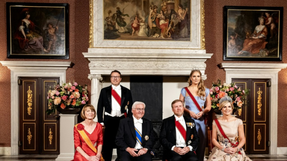  Steinmeier beschw&ouml;rt Einheit Europas bei Staatsbankett in den Niederlanden 