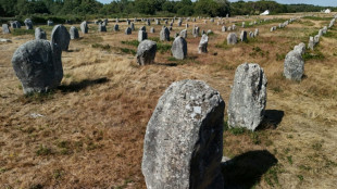 Unesco reconhece Megálitos de Carnac, local pré-histórico na França, como Patrimônio Mundial