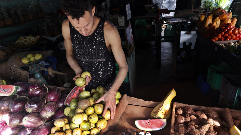  Cuba apre il commercio dei prodotti agricoli al settore privato 
