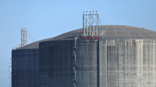 Il gas risale sopra i 76 euro sulla piazza Ttf di Amsterdam