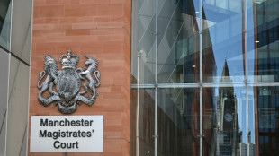 Affaire Chris Brown: un deuxième homme inculpé pour coups et blessures