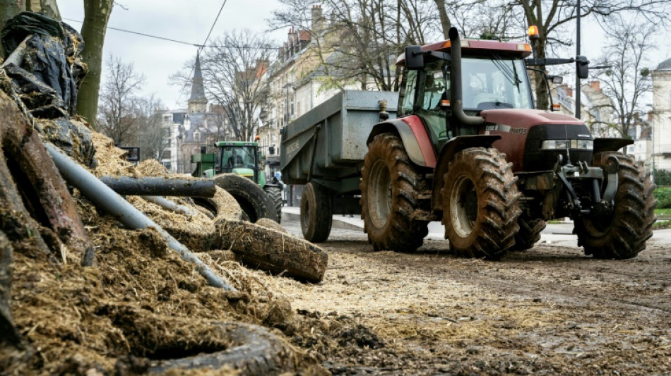 Z&ouml;lle: Europ&auml;ische Bauern fordern Gespr&auml;che und warnen vor Handelskrieg
