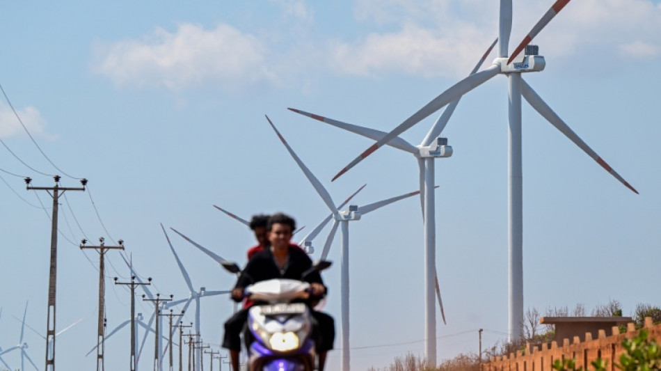  Au Sri Lanka, le vent de la col&egrave;re souffle dans les &eacute;oliennes de Mannar 