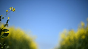 El Banco Mundial prev&eacute; altos precios de la energ&iacute;a y alimentos hasta fines de 2024