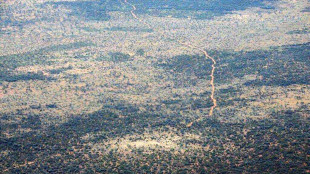 Tedesca trovata viva dopo 12 giorni da sola nel bush australiano