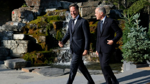 Rutte: Nato-L&auml;nder erreichen 2025 Zwei-Prozent-Ziel bei Verteidigungsausgaben