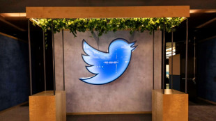 Fours &agrave; pizza et oiseaux bleus : Twitter brade le mobilier