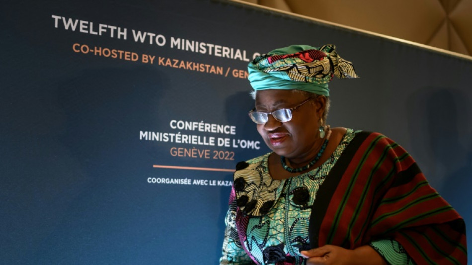 Los cinco temas clave de la reuni&oacute;n de ministros de la OMC
