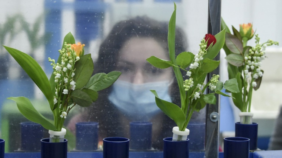 Una empresa espa&ntilde;ola multada en Francia por complicidad en fraude en la contrataci&oacute;n de temporeros