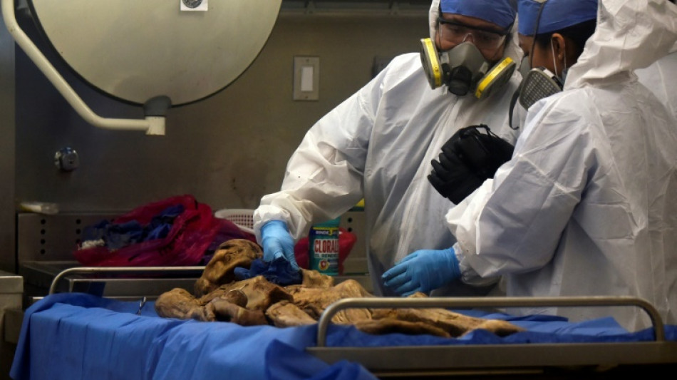 "Les morts n'arr&ecirc;tent pas d'arriver": au Mexique, les morgues d&eacute;bord&eacute;es par la violence