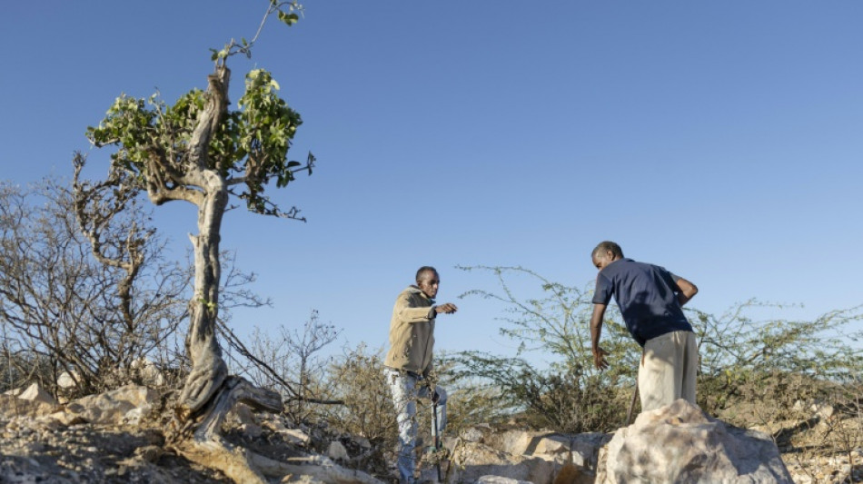  Somaliland pins hopes on critical mineral gold rush  