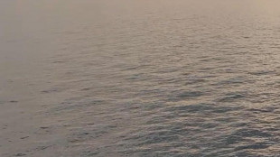 Svelati meccanismi apertura Mar Rosso, più giovane oceano Terra