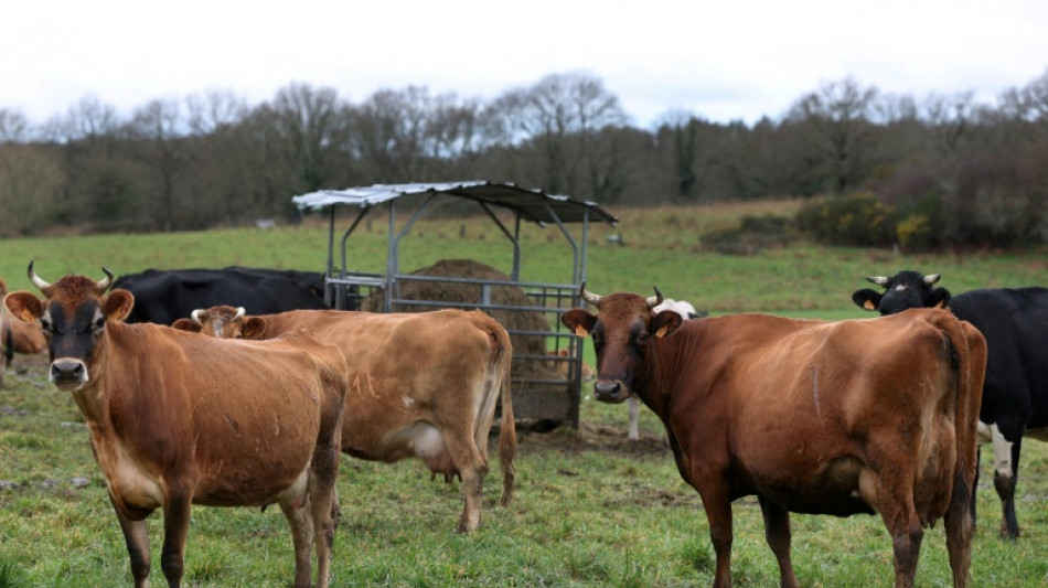  Loi d'urgence agricole: le gouvernement appelle le S&eacute;nat &agrave; pr&eacute;server "l'&eacute;quilibre" du texte 